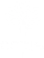 logo-CELTIS